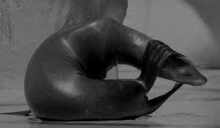 Fotografia de Ross - Galeria Fotografica: Escenas - Foto: Amor