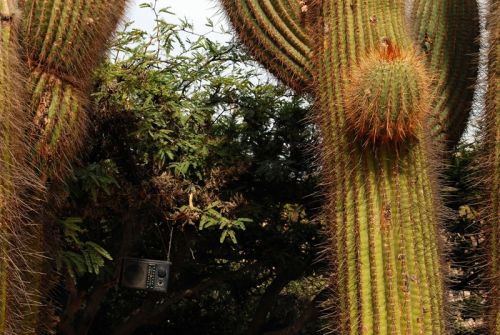 Fotografia de Andrs Lofiego - Galeria Fotografica: Cosecha - Foto: 