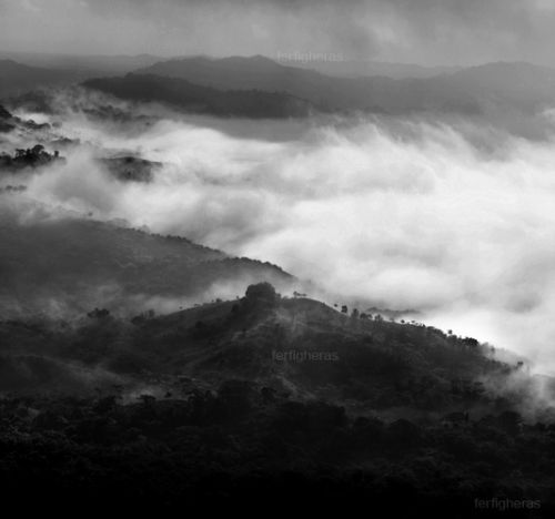 Fotografia de Fer Figheras - Galeria Fotografica: Email Art - Foto: 