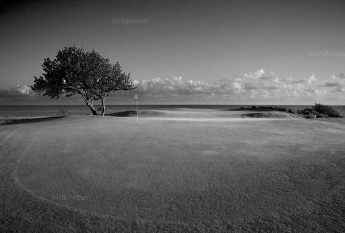 Fotografia de Fer Figheras - Galeria Fotografica: Email Art - Foto: 