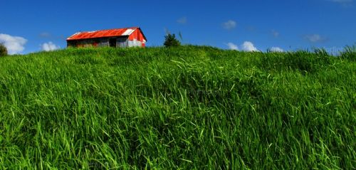 Fotografia de Fer Figheras - Galeria Fotografica: Email Art - Foto: 