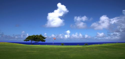 Fotografia de Fer Figheras - Galeria Fotografica: Email Art - Foto: 