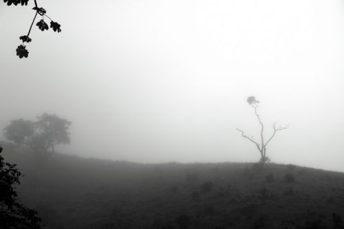 Fotografia de Fer Figheras - Galeria Fotografica: Email Art - Foto: 