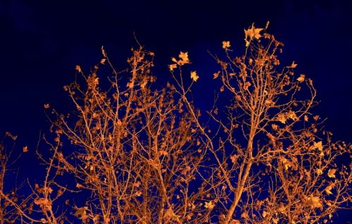 Fotografia de Fer Figheras - Galeria Fotografica: Email Art - Foto: 