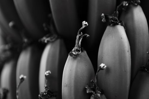 Fotografia de Fer Figheras - Galeria Fotografica: Email Art - Foto: 