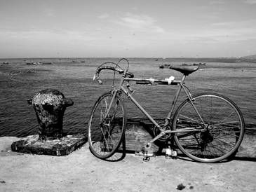 Fotografia de Morrocoy - Galeria Fotografica: Expresiones - Foto: Bicicleta de la mar