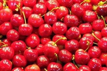 Fotografia de Morrocoy - Galeria Fotografica: Expresiones - Foto: Cerezas