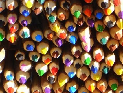 Fotografia de Morrocoy - Galeria Fotografica: Expresiones - Foto: Colorea tu Mundo!