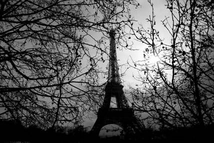 Fotografia de Morrocoy - Galeria Fotografica: Expresiones - Foto: La Torre entre ramas