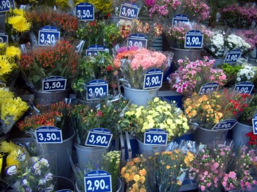 Fotografia de Nhoa - Galeria Fotografica: PARIS - Foto: 