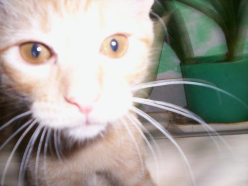 Fotografia de Marina - Galeria Fotografica: Vicente Le�n - Foto: Vicente Le�n