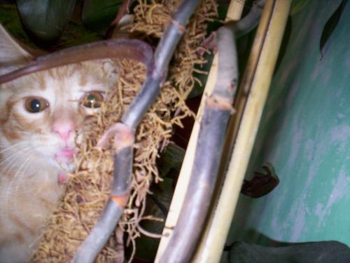 Fotografia de Marina - Galeria Fotografica: Vicente Le�n - Foto: Vicente Le�n