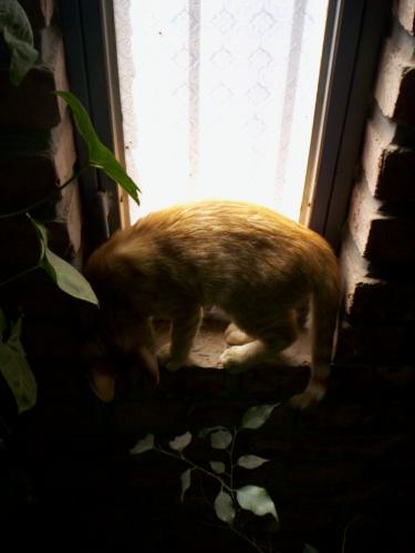 Fotografia de Marina - Galeria Fotografica: Vicente Le�n - Foto: Vicente Le�n