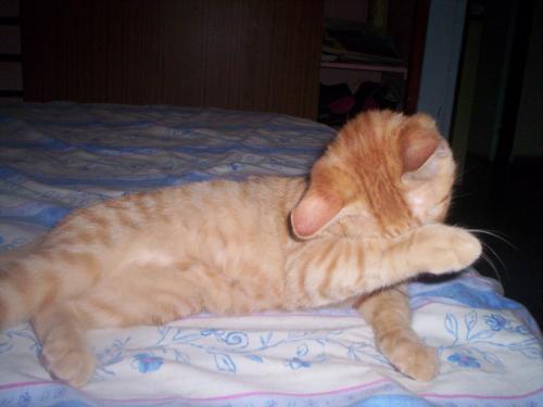 Fotografia de Marina - Galeria Fotografica: Vicente Le�n - Foto: Vicente Le�n