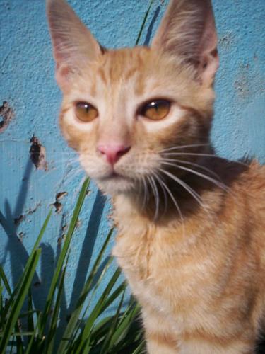 Fotografia de Marina - Galeria Fotografica: Vicente Le�n - Foto: Vicente Le�n