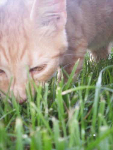 Fotografia de Marina - Galeria Fotografica: Vicente Le�n - Foto: Vicente