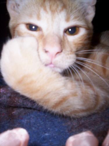 Fotografia de Marina - Galeria Fotografica: Vicente Le�n - Foto: Vicente Le�n