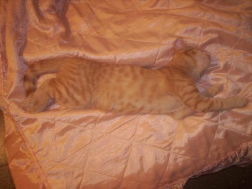 Fotografia de Marina - Galeria Fotografica: Vicente Le�n - Foto: Vicente Le�n