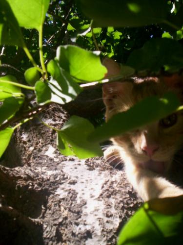 Fotografia de Marina - Galeria Fotografica: Vicente Le�n - Foto: Vicente Le�n