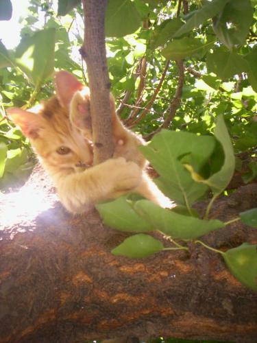 Fotografia de Marina - Galeria Fotografica: Vicente Le�n - Foto: Vicente Le�n