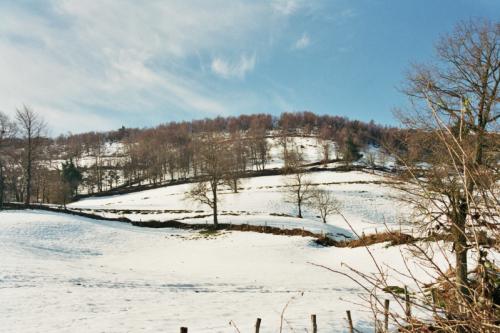 Fotografia de mabersi - Galeria Fotografica: Im�genes de Asturias - Foto: Nevadina en Tineo
