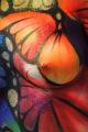 Fotos de janeiro -  Foto: body art - 6