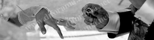 Fotografia de diforamafoto - Galeria Fotografica: diforamafoto - Foto: 