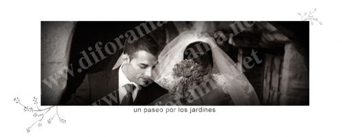 Fotografia de diforamafoto - Galeria Fotografica: diforamafoto - Foto: 