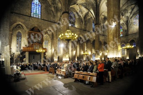 Fotografia de diforamafoto - Galeria Fotografica: diforamafoto - Foto: 