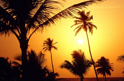 Fotografia de Estudio Jordi Cubells - Galeria Fotografica: India, Nepal, Italia... - Foto: puesta de sol en Goa, India