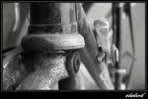 Fotografia de edwin - Galeria Fotografica: B and N - Foto: 