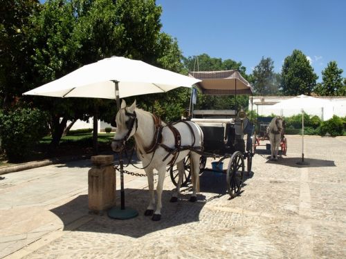 Fotografia de Chano Maiques - Galeria Fotografica: Ronda (Mlaga) - Foto: 