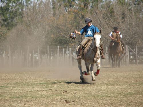 Fotografia de Imago - Galeria Fotografica: Caballos - Foto: Pato