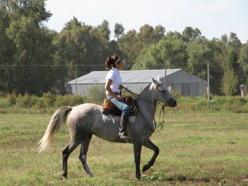 Fotografia de Imago - Galeria Fotografica: Caballos - Foto: Mujer a caballo