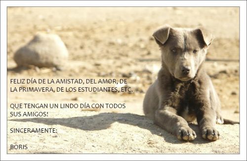 Fotografia de Boristofeles - Galeria Fotografica: Nature - Foto: Un amigo incondicional