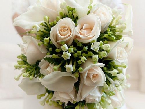 Fotografia de Bodas a Mil - Galeria Fotografica: Galeria de fotos - Foto: 