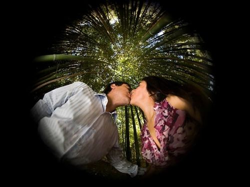 Fotografia de Bodas a Mil - Galeria Fotografica: Galeria de fotos - Foto: 