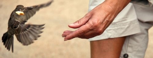 Fotografia de Tfol Quetglas - Galeria Fotografica: Panormicas - Foto: 