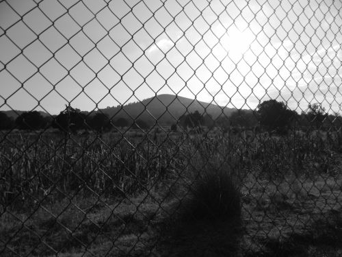 Fotografia de Isaac David - Galeria Fotografica: Mxico - Foto: El Campo