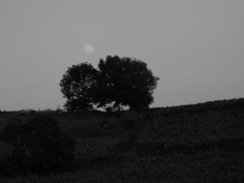 Fotografia de Isaac David - Galeria Fotografica: Mxico - Foto: La luna
