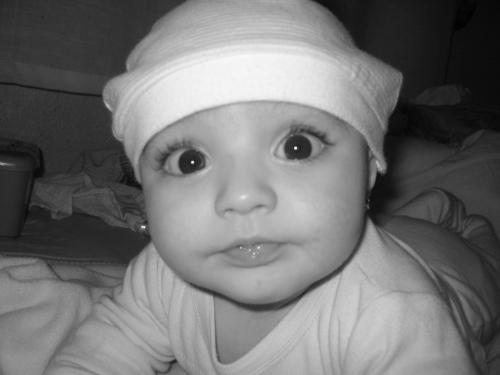 Fotografia de indara - Galeria Fotografica: Mi reina - Foto: 3