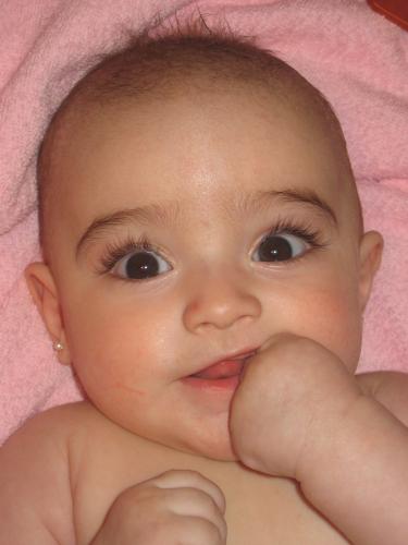 Fotografia de indara - Galeria Fotografica: Mi reina - Foto: 4