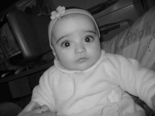 Fotografia de indara - Galeria Fotografica: Mi reina - Foto: 5