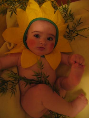 Fotografia de indara - Galeria Fotografica: Mi reina - Foto: 5