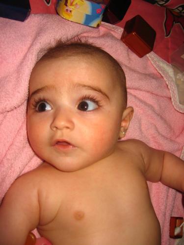 Fotografia de indara - Galeria Fotografica: Mi reina - Foto: 3