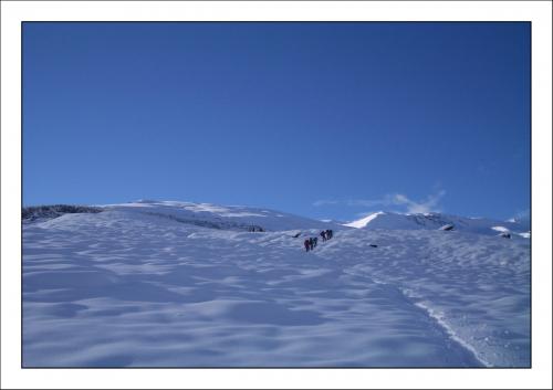 Fotografia de Muleey - Galeria Fotografica: Naturaleza - Foto: invernal capileria