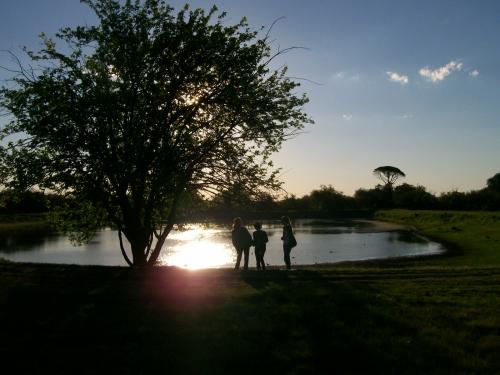 Fotografia de meli - Galeria Fotografica: otras - Foto: 