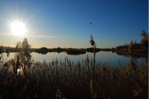 Fotografia de Polcast - Galeria Fotografica: Seleccion - Foto: Delta								