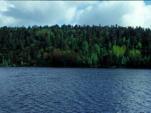 Fotografia de Romer Gutierrez - Galeria Fotografica: Noruega 2002 - Foto: Lago en Holmenkollen