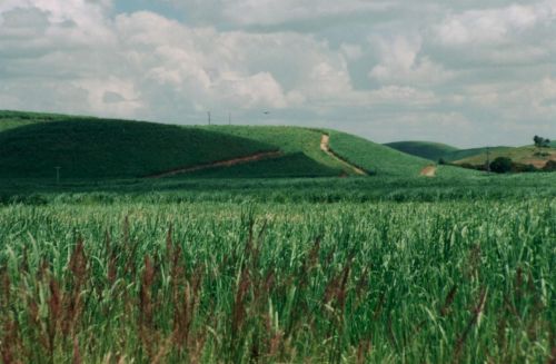 Fotografia de Romer Gutierrez - Galeria Fotografica: Brazil 2003 - Foto: 
